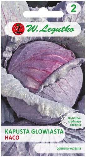 Kapusta głowiasta czerwona Haco LEGUTKO
