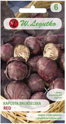 Kapusta brukselska red LEGUTKO