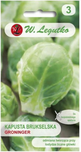 Kapusta brukselska Groninger LEGUTKO