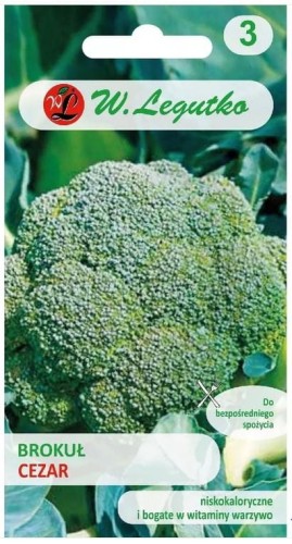 Brokuł Cezar średnio wczesny LEGUTKO