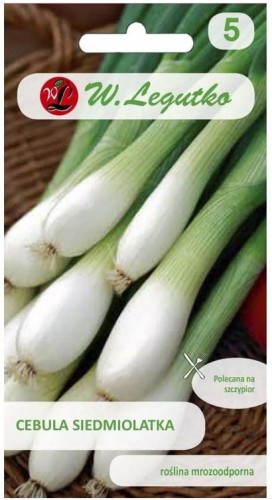 Cebula 7-MIOLATKA WINTER NEST 2g LEGUTKO