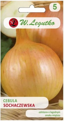 Cebula Sochaczewska Żółta LEGUTKO
