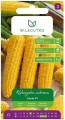 Kukurydza cukrowa Gucio F1 LEGUTKO 10g