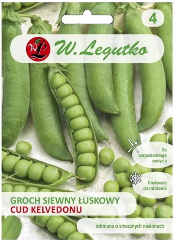 Groch siewny łuskowy Cud Kelvedonu LEGUTKO