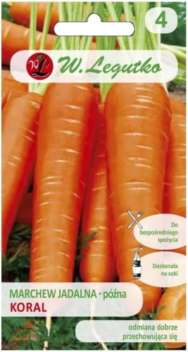 Marchew późna Koral dobrze przechowująca LEGUTKO