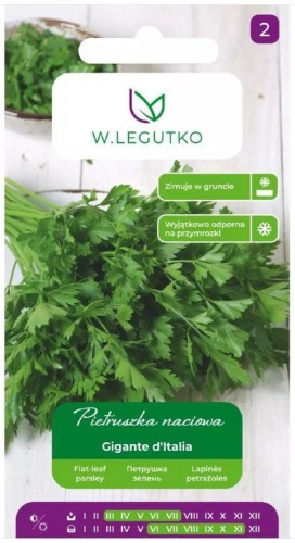 Pietruszka naciowa Gigante d`Italia LEGUTKO