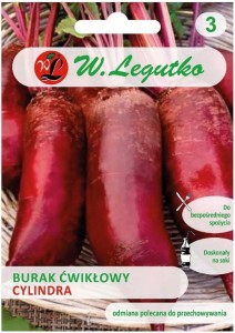 Burak ćwikłowy wczesny Cylindra LEGUTKO 25g
