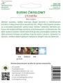 Burak ćwikłowy wczesny Cylindra LEGUTKO 25g