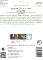 Burak ćwikłowy wczesny Egipski LEGUTKO 10g