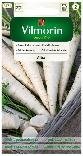 Pietruszka korzeniowa ALBA na ciężkie gleby Vilmorin