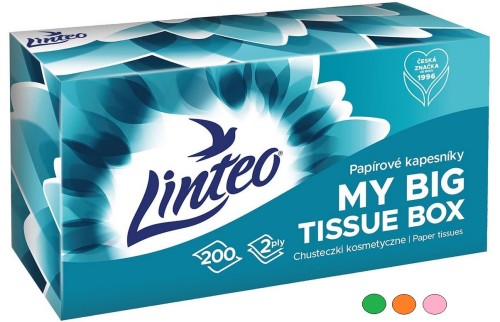 Chusteczki higieniczne/kosmetyczne Linteo BOX mix kolorów 200szt