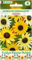 Słonecznik ogórkolistny mieszanka Kwiaty Polskie 1g Legutko
