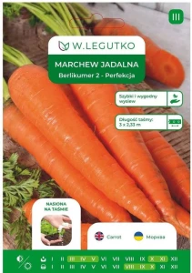 Marchew Berlikumer 2 Perfekcja na TAŚMIE 5m LEGUTKO