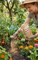 Biohumus sypki 1L nawóz uniwersalny dżdżownice kalifornijskie Ekodarpol