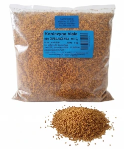Koniczyna biała 1kg Grasslands Huia Bratek kwalifikowana C1 nasiona pasza