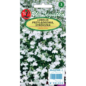 Lobelia przylądkowa, Stroiczka biała LEGUTKO