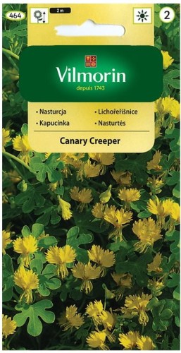 Nasturcja pnąca Canary Creeper VILMORIN