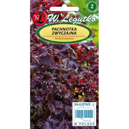 Pachnotka zwyczajna ciemnopurpurowa LEGUTKO