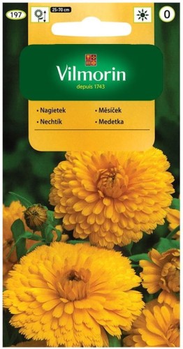 Nagietek Lekarski Żółty VILMORIN