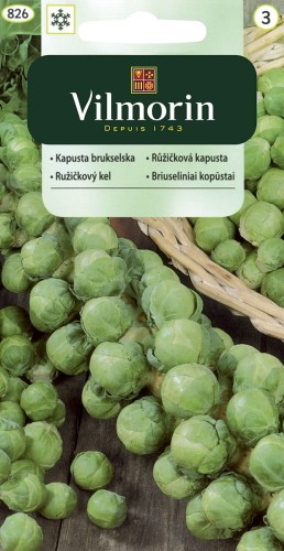 Kapusta brukselska VILMORIN