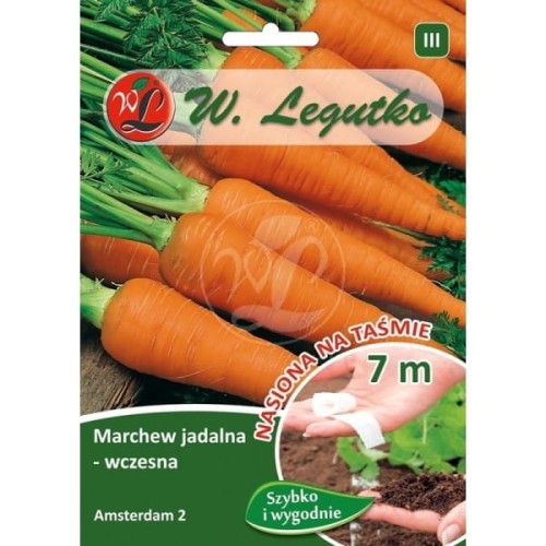 Marchew jadalna Amsterdam 2 na taśmie LEGUTKO