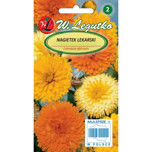 Nagietek lekarski Mix odcieni Żółtych LEGUTKO