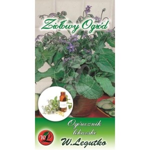 Ogórecznik lekarski - zioła LEGUTKO