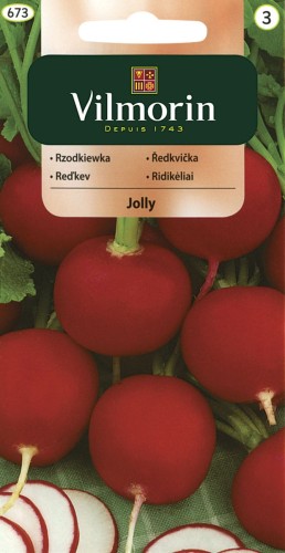 Rzodkiewka okragła Jolly wczesna VILMORIN 5g
