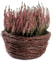 Osłonka, Donica ogrodowa BRZOZA 34cm