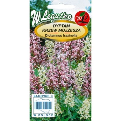 Dyptam, Krzew Mojżesza bylina LEGUTKO