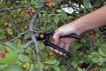 Sekator profesjonalny P90 FISKARS