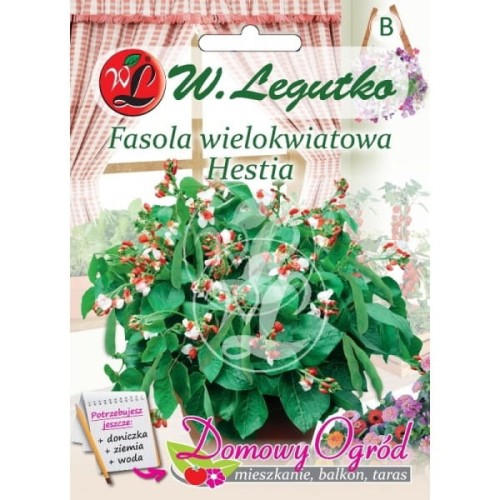 Fasola HESTIA W/KWIAT 30g LEGUTKO