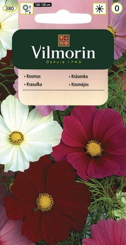 Kosmos Mix kolorów Onętek VILMORIN