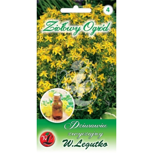 Dziurawiec zwyczajny - zioła wieloletnie LEGUTKO