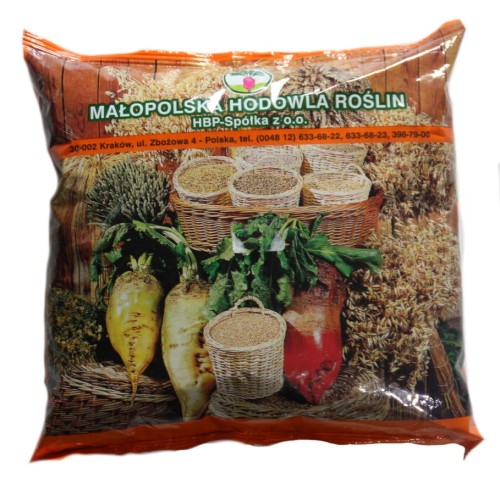 Burak pastewny URSUS Poly żółty nasiona 1kg