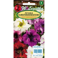 Petunia olbrzymiokwiatowa Superbissima Mix LEGUTKO