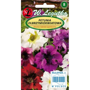 Petunia olbrzymiokwiatowa Superbissima Mix LEGUTKO