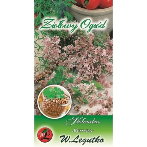 Kolendra siewna - zioła LEGUTKO