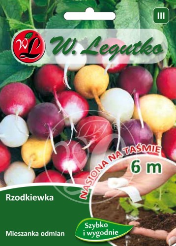 Rzodkiewka Mix odmian o zgrubieniach kulistych, na taśmie LEGUTKO