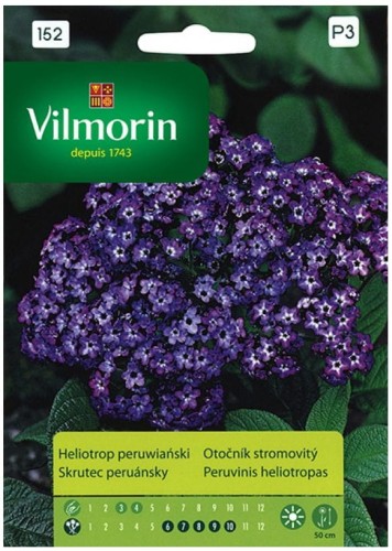 Heliotrop Peruwiański pachnące kwiaty VILMORIN