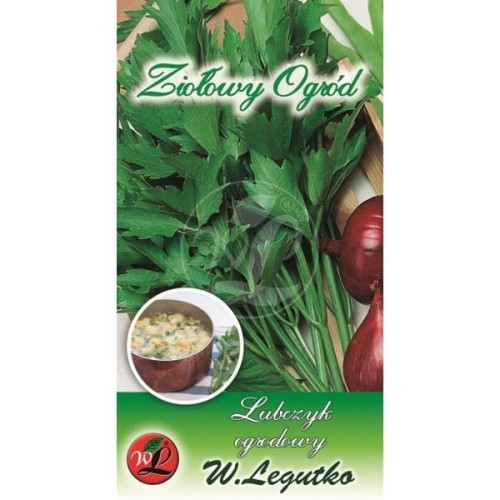 Lubczyk ogrodowy - zioła wieloletnie LEGUTKO