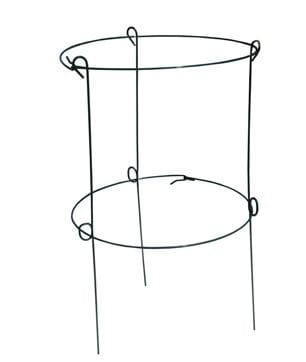 Podpora PIERŚCIENIOWA do roślin PIWONII dwie obręcze 90cm