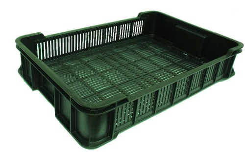Skrzynka plastikowa na owoce ZIELONA na 10kg