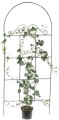 Podpora KRATA do roślin pnących 150x60cm z ŁUKIEM gruby GT002