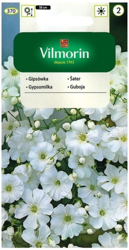 Gipsówka wielkokwiatowa, Łyszczec biały VILMORIN