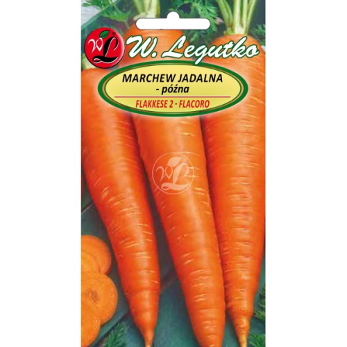 Marchew późna Flakkese 2 - FLacoro LEGUTKO