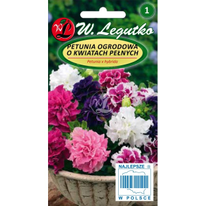 Petunia ogrodowa pełna Polka F2 Mix LEGUTKO