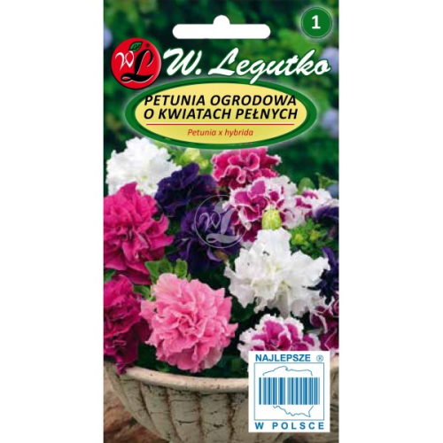 Petunia ogrodowa pełna Polka F2 Mix LEGUTKO