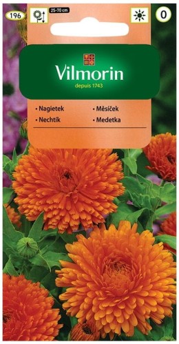 Nagietek Lekarski Pomarańczowy VILMORIN