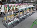 Krokus Crocus Gipsy Girl cebulka 1szt